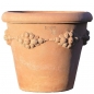 Preview: Pflanzgefäß, Blumentopf Terracotta  - Vaso Camelia con Frutta