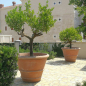 Preview: runder Blumentopf
