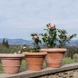 Preview: Schlichter klassischer Blumentopf - Vaso liscio Poggi