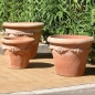 Preview: Pflanzgefäß, Blumentopf Terracotta  - Vaso Camelia con Frutta