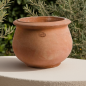 Preview: Terracottatopf charmant
