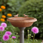 Preview: Vogelbad Impruneta