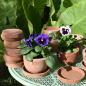 Preview: kleine Terracotta