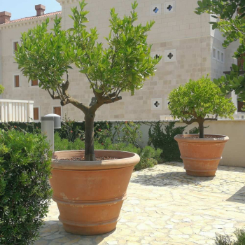 runder Blumentopf