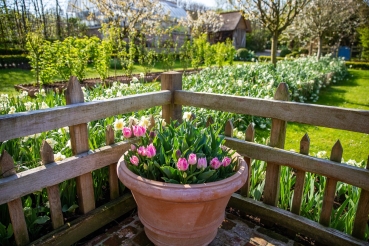 Preview: Konische Terracottavase - Impruneta