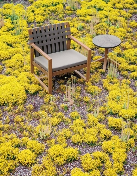 Roda Teak Lounge Sessel - Network