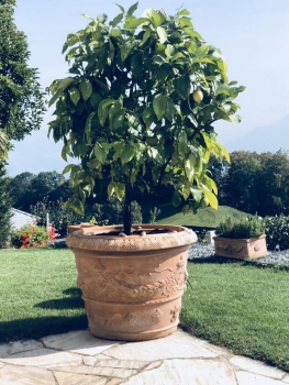 großer Pflanzkübel Terracotta
