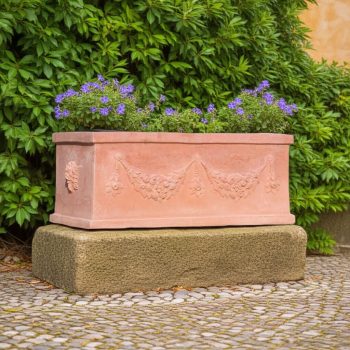 Blumenkasten mit Ranke