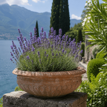 Preview: FIORERA DECORATA – Edle verzierte Terracotta Schale aus Impruneta