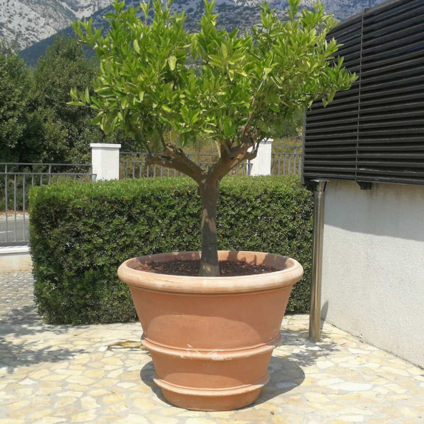 konischer Blumentopf