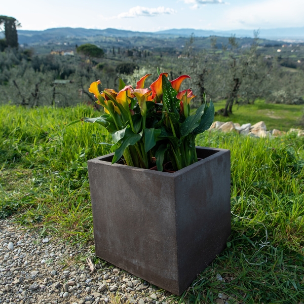 Blumenkasten grau