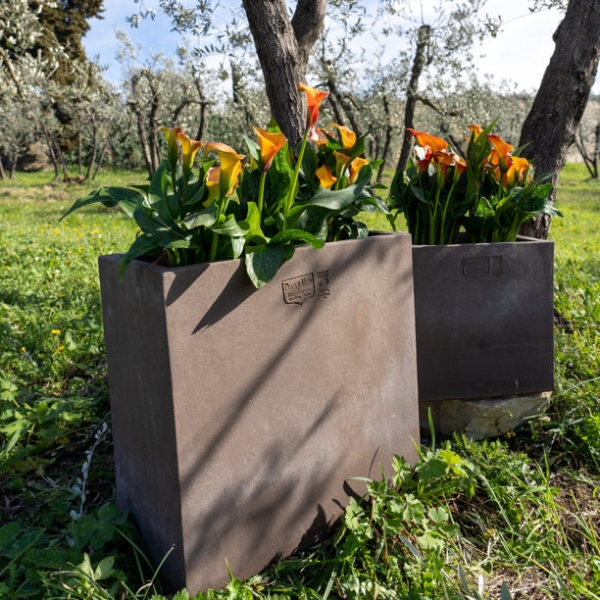 Grauer hoher Terracotta Blumenkasten modern