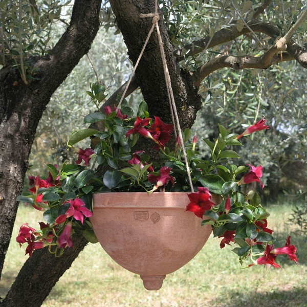 Blumentopf hängend