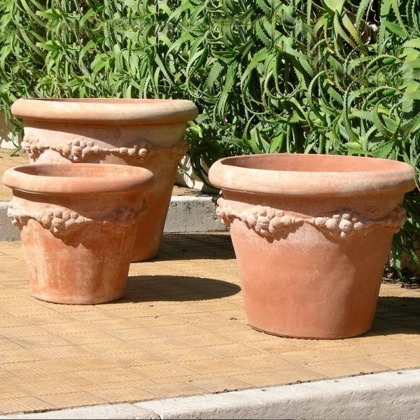 Pflanzgefäß, Blumentopf Terracotta  - Vaso Camelia con Frutta