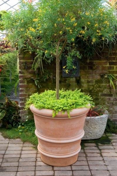 Terracotta Topf im französischen Stil - Vaso Francese