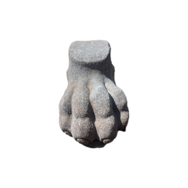 graue Füßchen