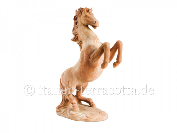 Terracotta Pferd - Cavallo