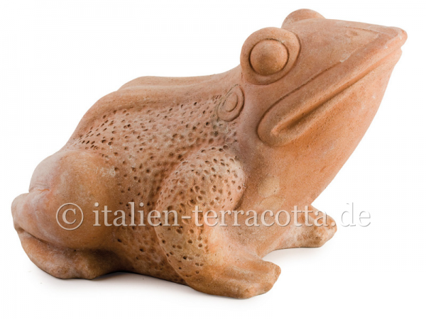 Terracotta Frosch - Rana